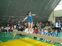 dsc05446.jpg