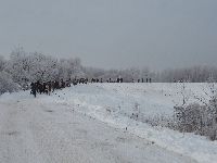 szankozas_007.jpg