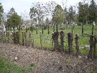 p1000854.jpg