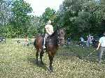 dscf3190.jpg
