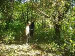 dscf3200.jpg