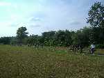 dscf3248.jpg