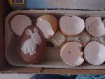 dsc01350.jpg