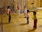 dsc09317.jpg