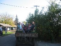 csal_di_nap_046.jpg