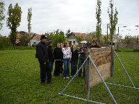k_pek_167.jpg