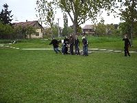 k_pek_173.jpg