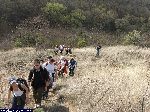 dscf9535.jpg