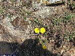 dscf9545.jpg