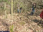 dscf9561.jpg