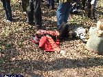 dscf9570.jpg