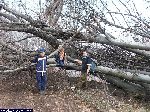 dscf9605.jpg