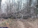 dscf9610.jpg