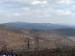 dscf9613.jpg