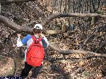 dscf9633.jpg