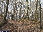 dscf9647.jpg
