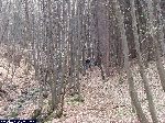 dscf9648.jpg