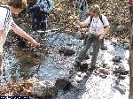 dscf9655.jpg