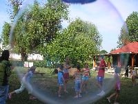 t_bor_043.jpg
