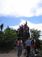 t_bor_334.jpg