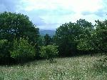 dscf2577.jpg
