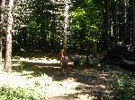 dscf2581.jpg