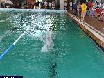 dscf9910.jpg