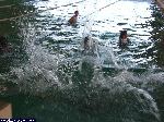 dscf9977.jpg
