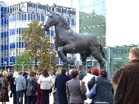 dscf1534.jpg