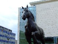 dscf1536.jpg