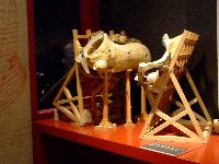 dscf1544.jpg