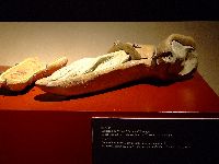 dscf1545.jpg