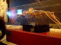 dscf1546.jpg