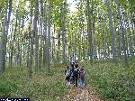 dscf3348.jpg
