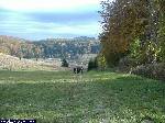 dscf3394.jpg