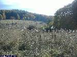 dscf3397.jpg