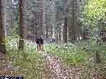 dscf3403.jpg