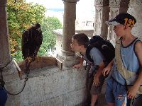 dscf3040.jpg