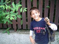 dsc02747.jpg