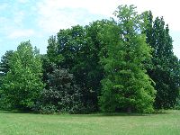 dsc02768.jpg