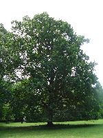 dsc02774.jpg