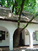 dsc02776.jpg