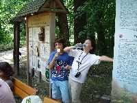 dsc02784.jpg