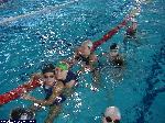 dscf4517.jpg