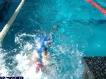 dscf4535.jpg