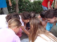 dscf2719.jpg