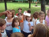 dscf2770.jpg