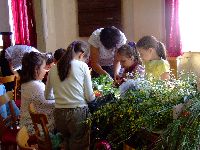 dscf2168.jpg