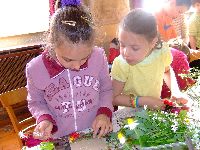 dscf2174.jpg