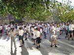 p1010084.jpg